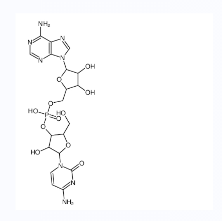 腺苷酰基-(3,’5’)-胞苷