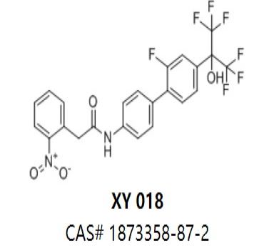 XY 018