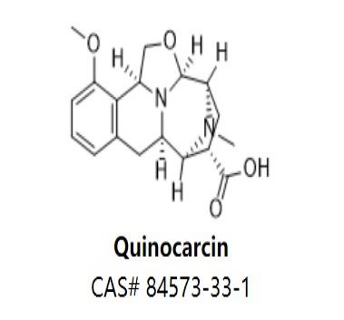 Quinocarcin