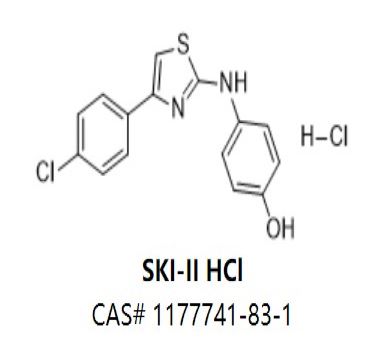 SKI-II HCl