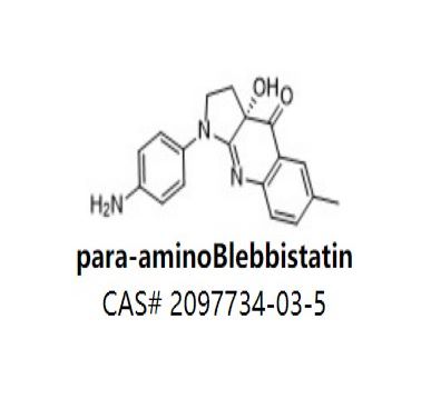 para-aminoBlebbistatin
