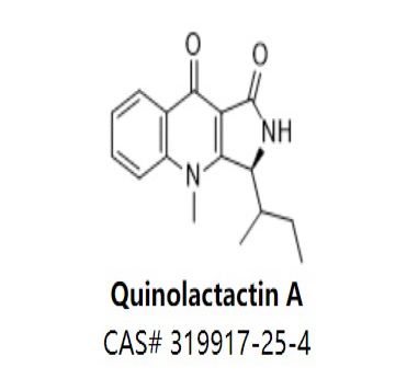 Quinolactactin A