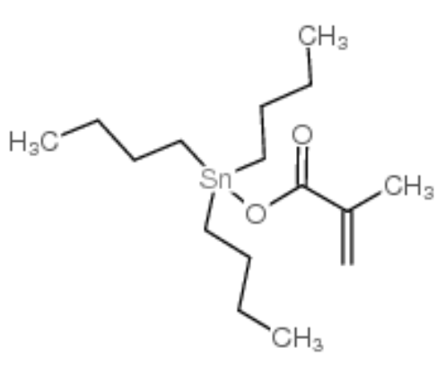 甲基丙烯酸三丁基锡