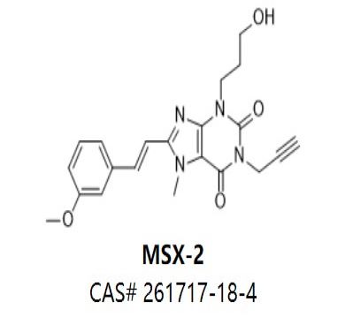 MSX-2