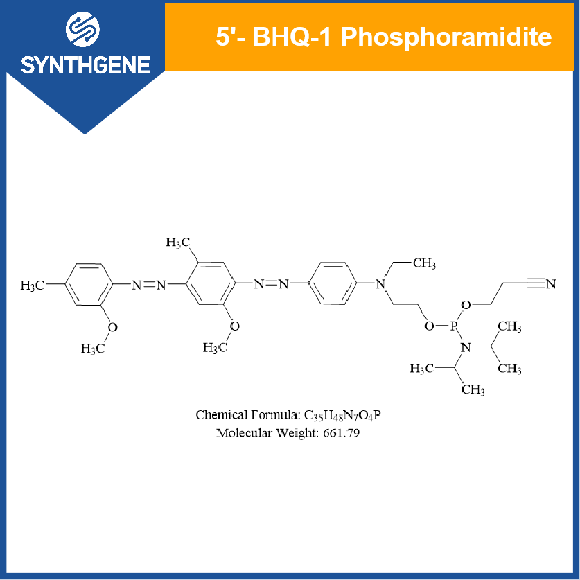 4'-(2-Nitro-4-toluyldiazo)-2'-methoxy-5'-methy1-azobenzene 4?±(N-ethy)-N-ethy1-2- cyanoethy1-N, N-diisopropy1)-phosphoramidite