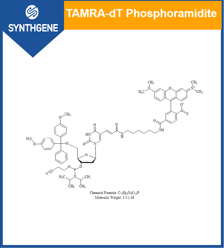 5'-Dimethoxytrityloxy-5-N-((tetramethylrhodaminyI)-aminohexyI)-3-acrylimido]-2'- deoxyuridine -3'-  [(2- cyanoethyI) N, N-diisopropyl)]-Phosphoramidite