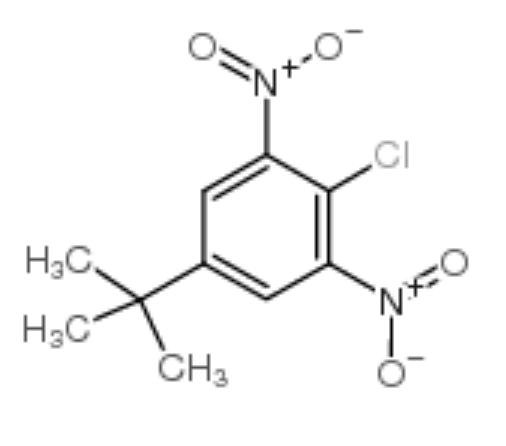 2-氯-5-叔丁基-1,3-二硝基苯