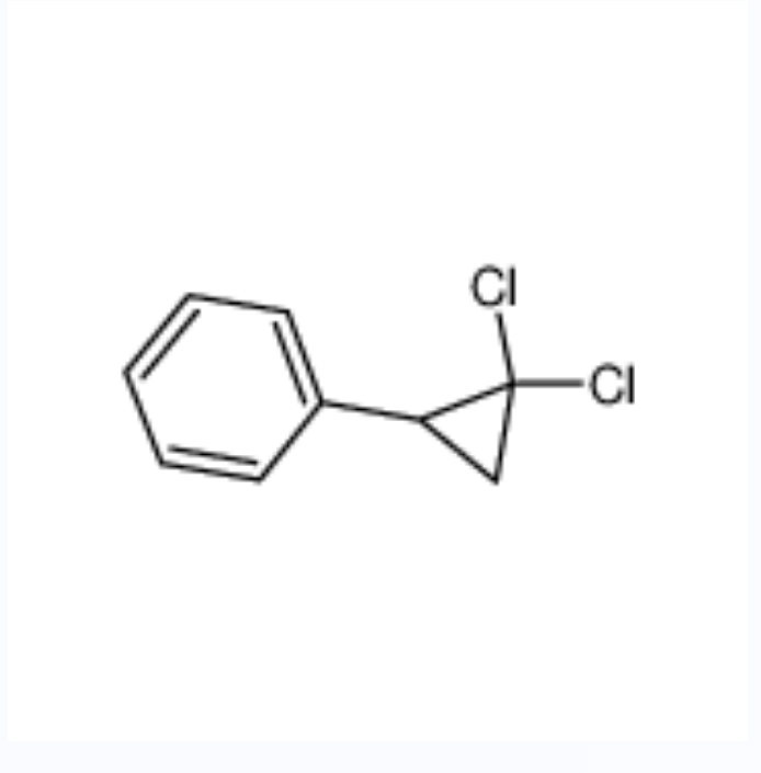 (2,2-二氯环丙基)苯