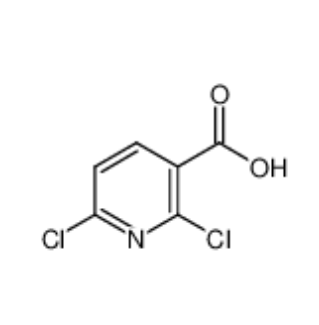 2,6-二氯烟酸