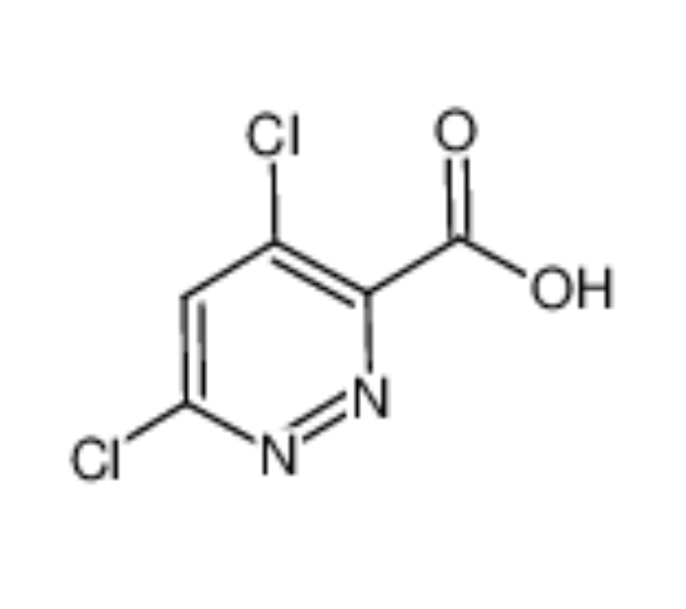 4,6-二氯-3-哒嗪甲酸
