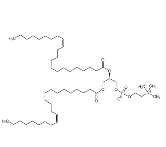 1,2-二芥酰-SN-甘油-3-磷酰胆碱