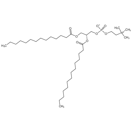 二肉豆蔻酰磷脂酰胆碱（DMPC）