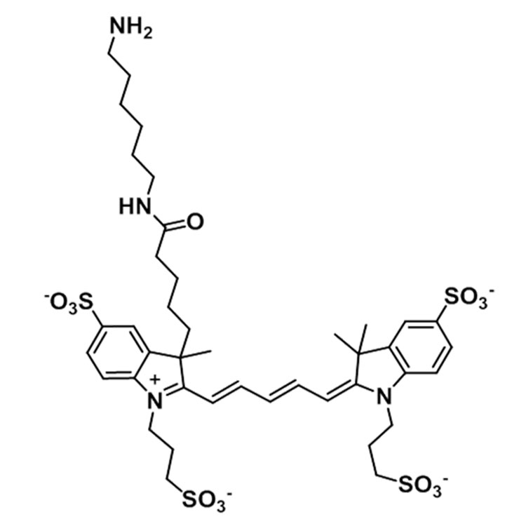 AF647-氨基