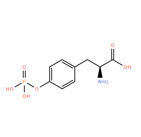 (S)-2-氨基-3-(4-(膦酰氧基)苯基)丙酸