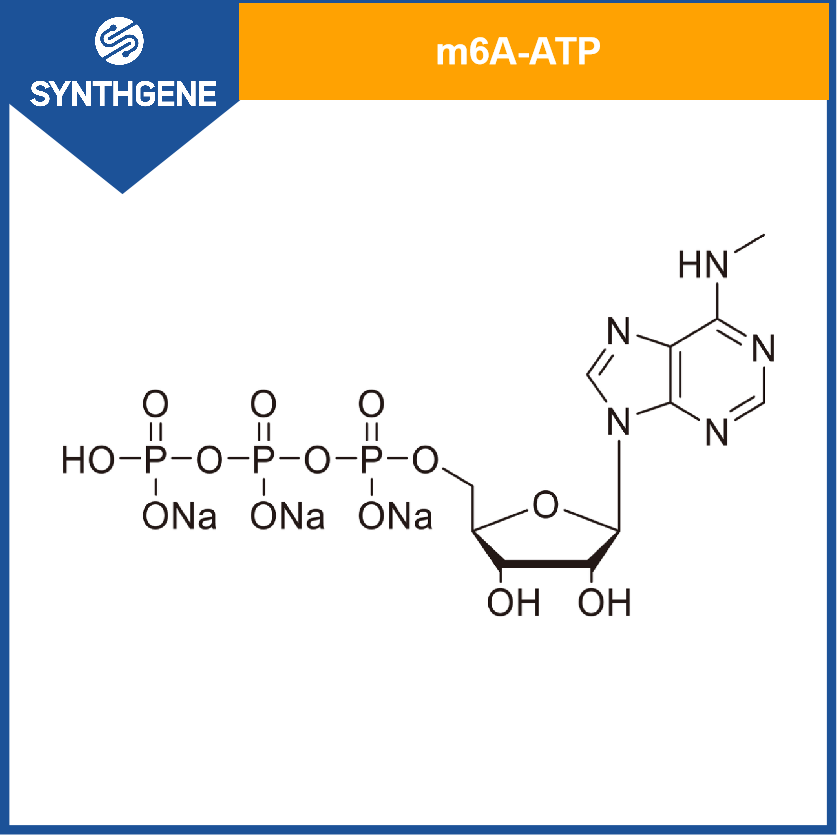 m6A-ATP