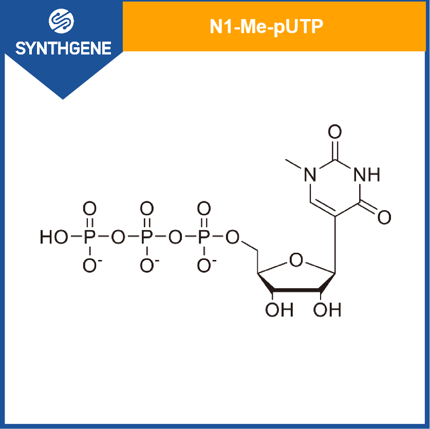 N1-甲基-假尿苷三磷酸