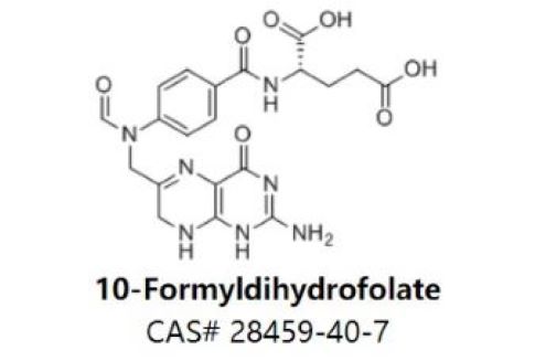 10-Formyldihydrofolate