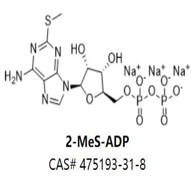 2-MeS-ADP