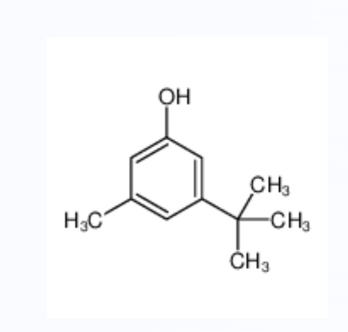 5 - 叔丁基对甲酚