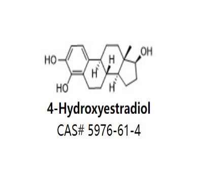 4-Hydroxyestradiol