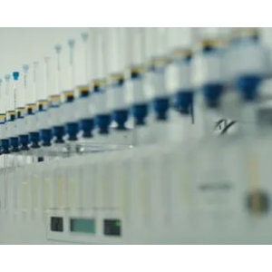 HOF-2氢键有机骨架