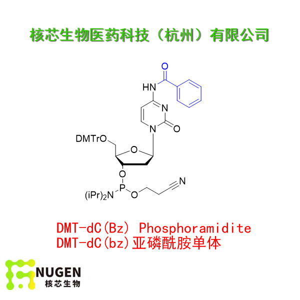 DMT-dC(bz)亚磷酰胺单体  工厂大货