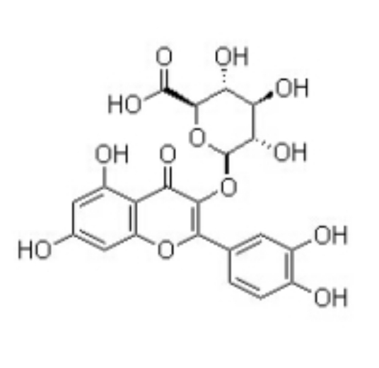 槲皮素-3-O-葡萄糖醛酸苷