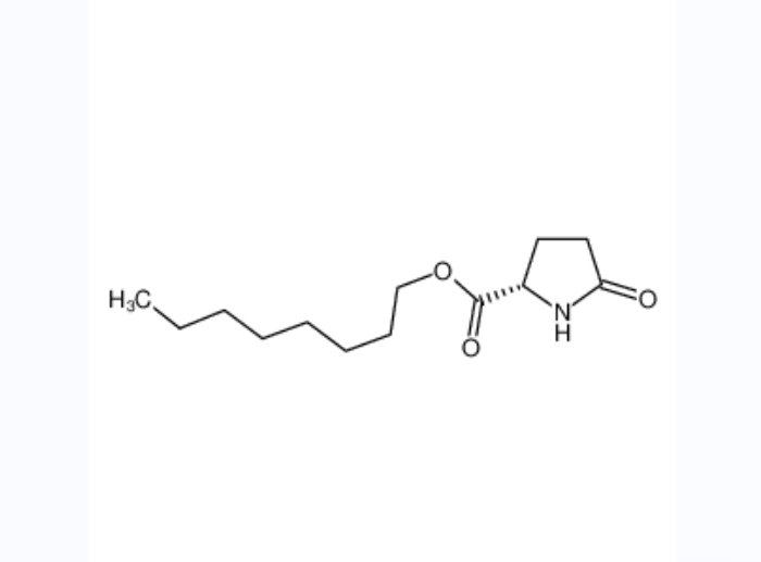 L-2-吡咯烷酮-5-羧酸正辛酯