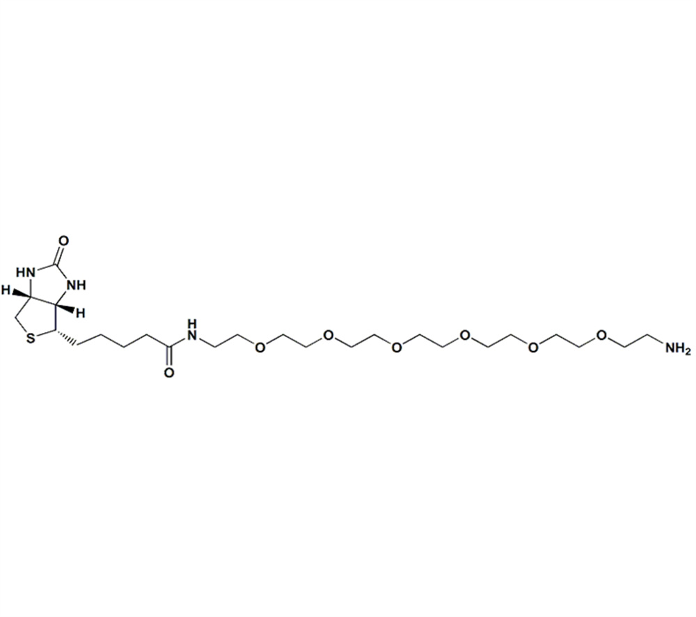 生物素-PEG6-胺