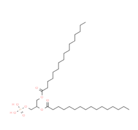 rac-1,2-dipalmitoyl-glycero-3-phosphate disodium salt	