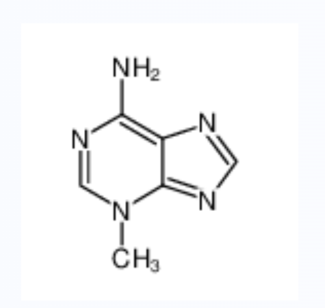 6-氨基-3-甲基嘌呤	