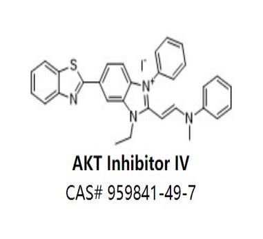 AKT Inhibitor IV