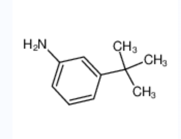 3-叔丁基苯胺	