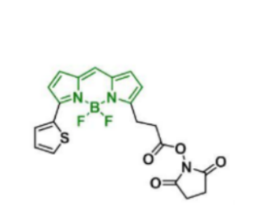 BDP 558/568 NHS ester/琥珀酰亚胺活化酯