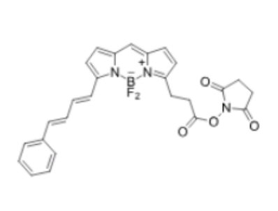 BDP 581/591 NHS ester/琥珀酰亚胺活化酯