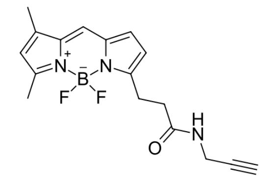 BDP FL alkyne/炔基炔烃