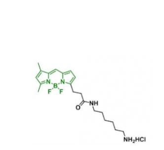 BDP FL NH2/anine/氨基