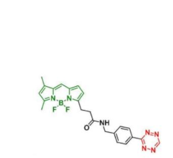 BDP FL tetrazine，BDP FL 四嗪/TZ