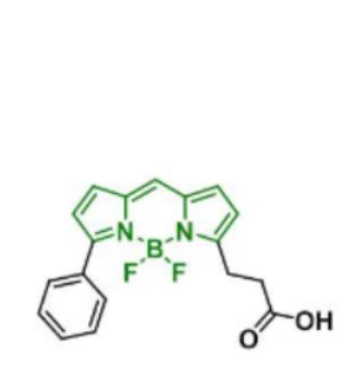 BDP R6G carboxylic acid/COOH/羧基羧酸