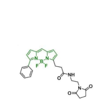 BDP R6G maleimide/马来酰亚胺