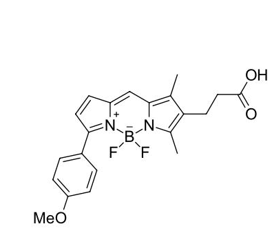 BDP TMR carboxylic acid/COOH/羧基羧酸