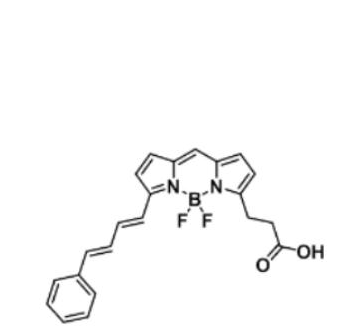 BODIPY 581/591 carboxylic acid/COOH/羧基羧酸