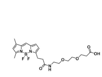 BODIPY FL-PEG2-COOH/carboxylic acid/羧基羧酸