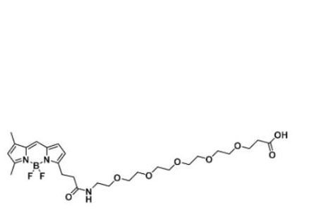 BODIPY FL-PEG5-COOH/carboxylic acid/羧基羧酸