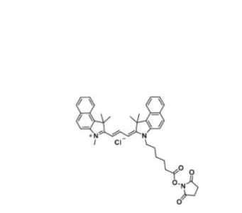 Cy3.5 NHS ester/琥珀酰亚胺活化酯(Methyl)