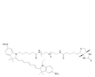 Cy7-PEG-Biotin  Cy7-聚乙二醇-生物素  Biotin-PEG-Cy7