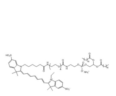 Cy7-PEG-DSPE  Cy7-聚乙二醇-磷脂  DSPE-PEG-Cy7