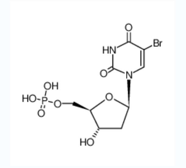 5-溴-2'-脱氧尿苷 5'-单磷酸酯	