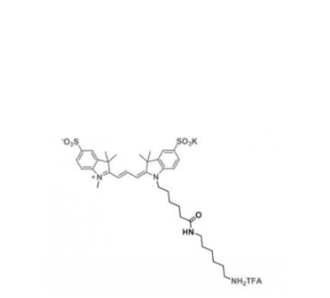 diSulfo-Cy3 amine/氨基，水溶性CY3 NH2