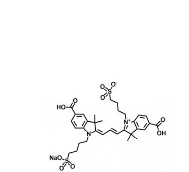 二磺酸基diSulfo-Cy3 bis-carboxylic acid/COOH/羧基羧酸